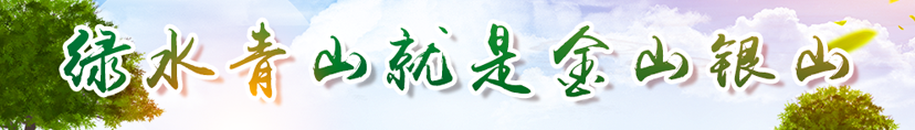 首页告白位